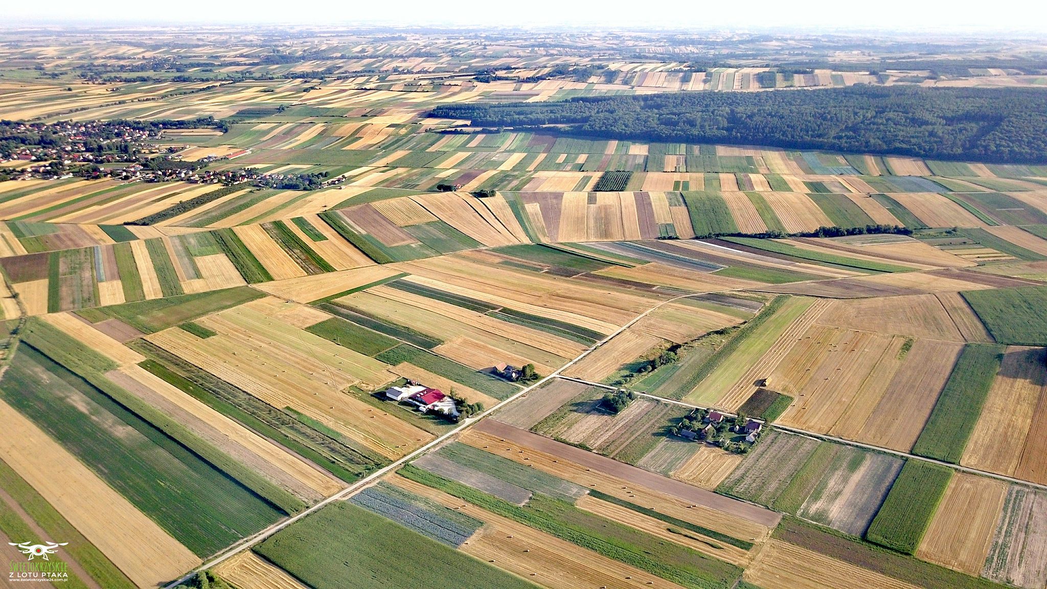 Planta de producción AGROPOLE – verduras deshidratadas, hierbas, especias